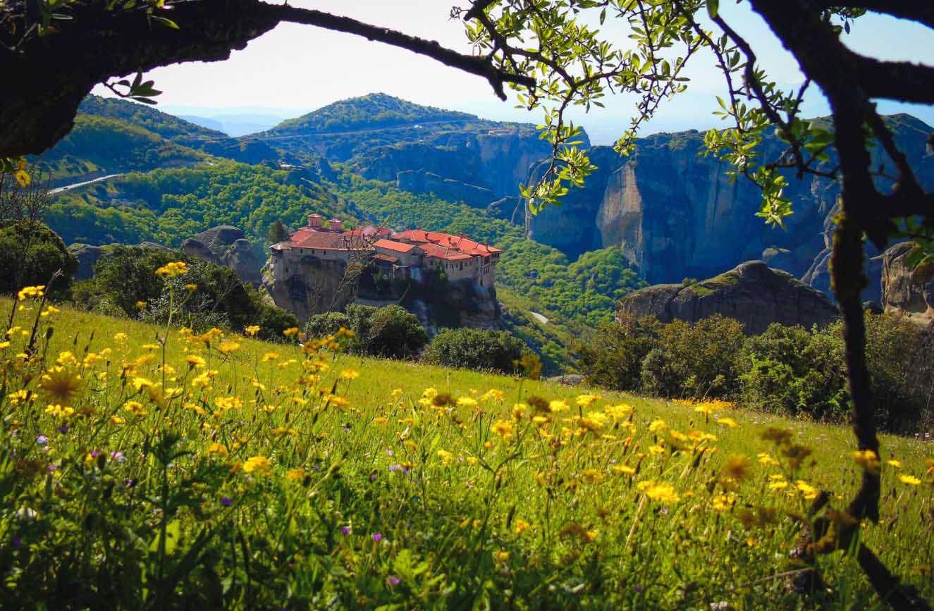meteora spring wildflowers guide-2