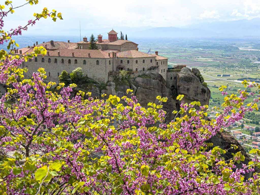 meteora spring wildflowers guide-3