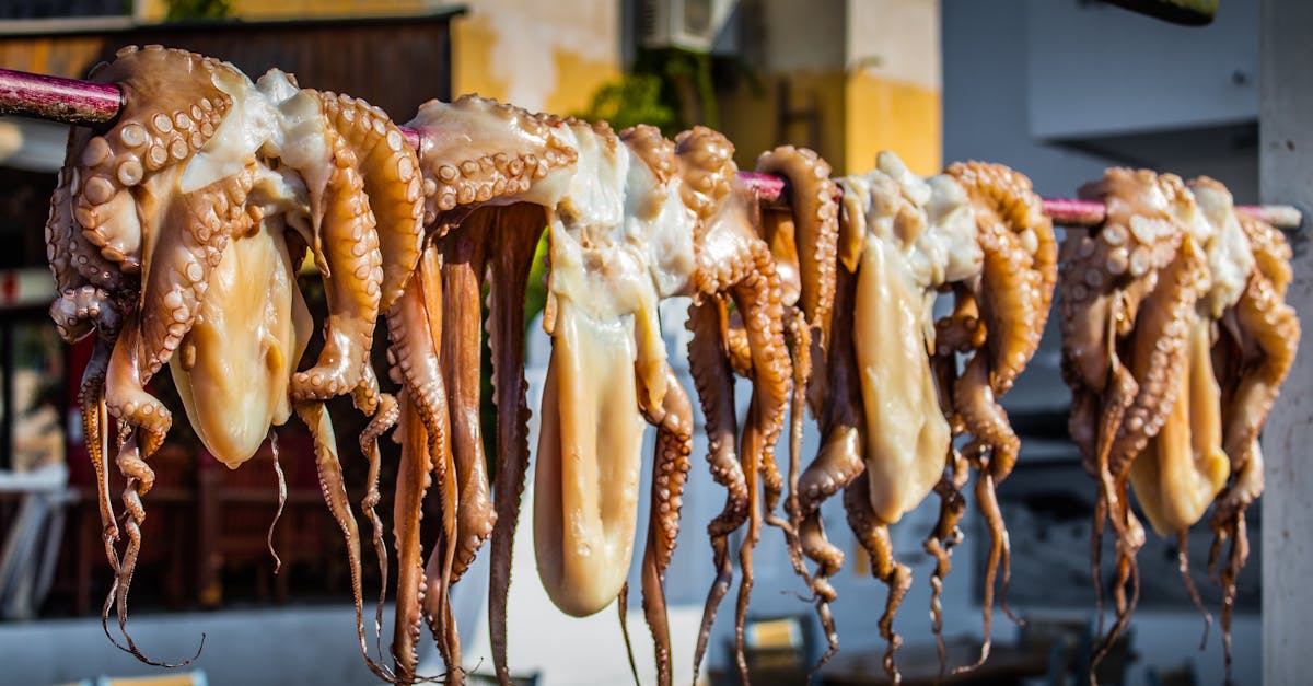 greek-traditional-food-octapus-1