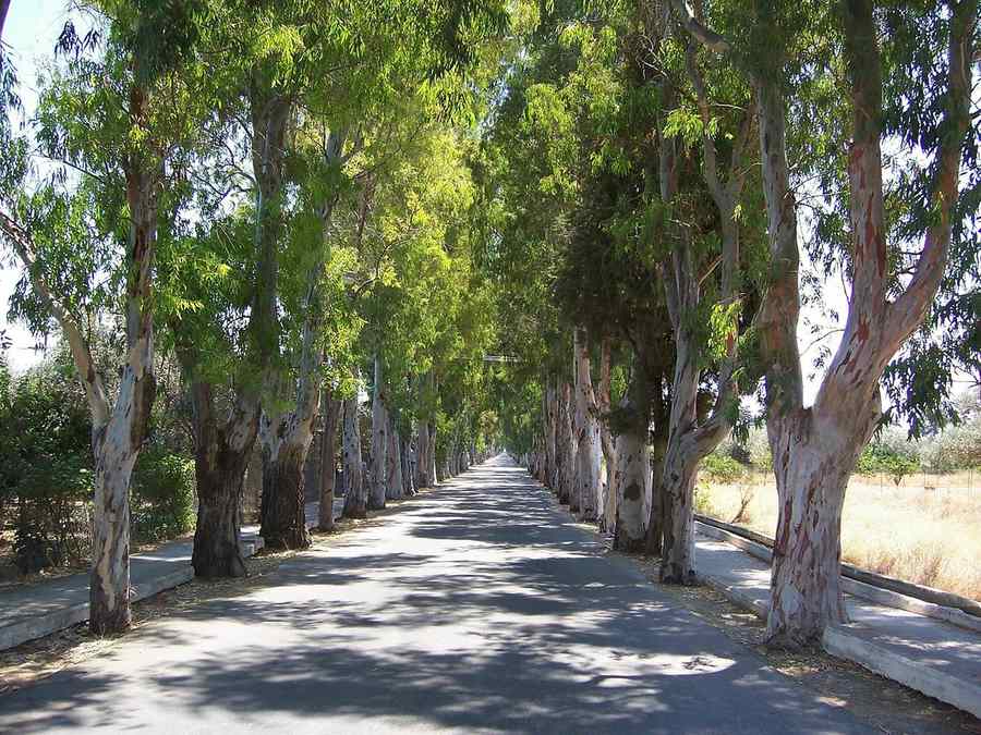 Kolymbia, Rhodes