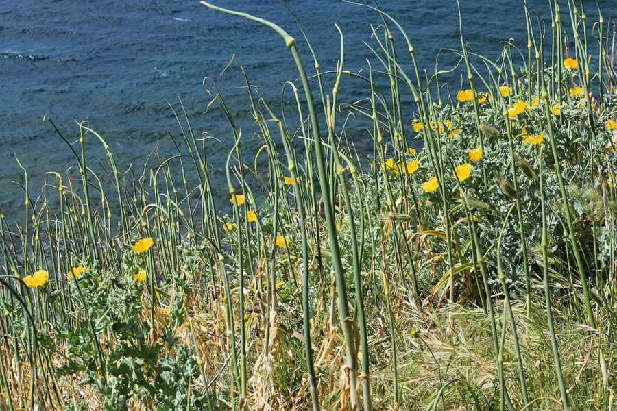 Monemvasia day trip from Athens