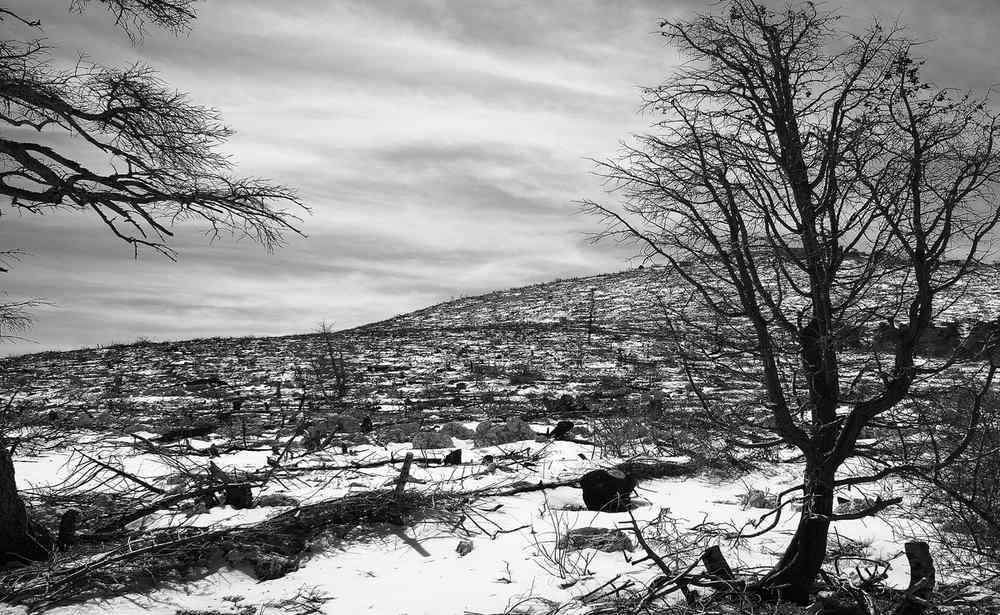 Mount Parnitha Athens