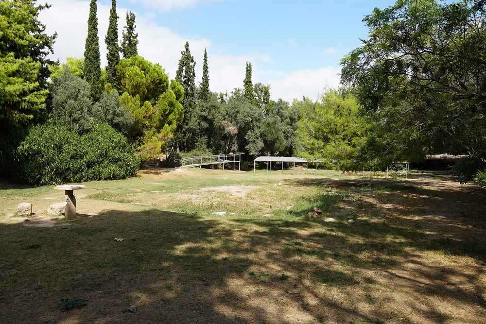 Plato's Academy
