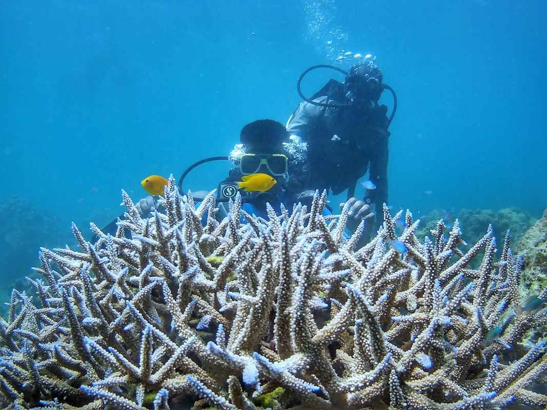 Santorini diving