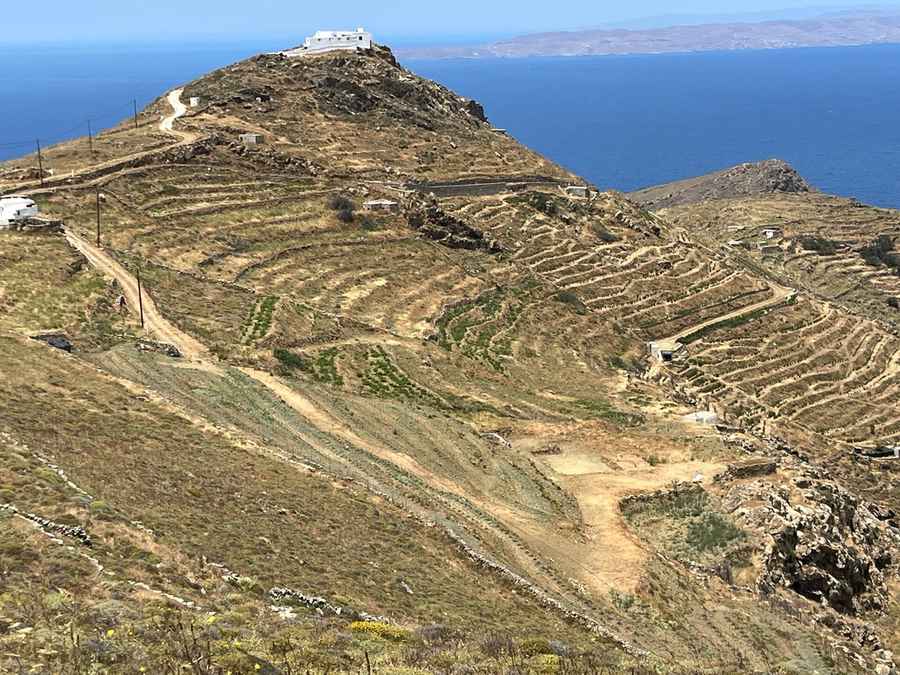 Tinos wineries