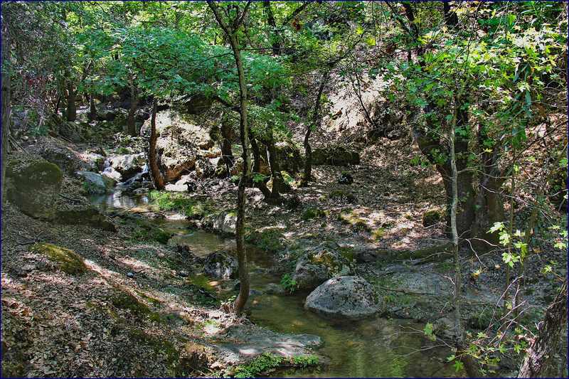 The Valley of the Butterflies, Rhodes