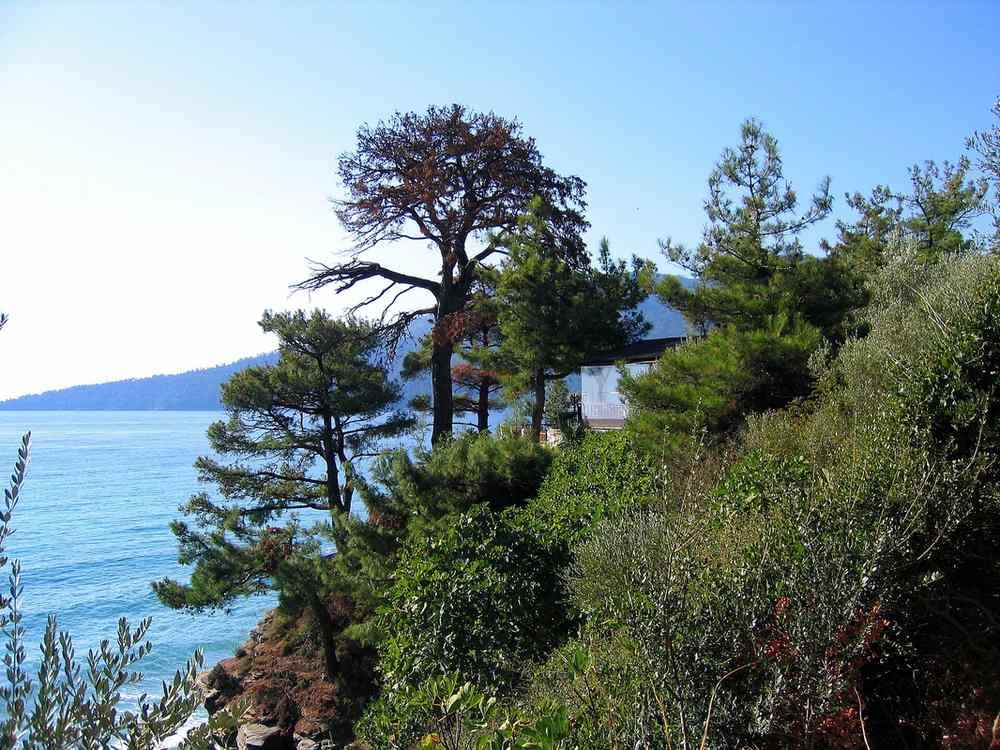 Vari Athens