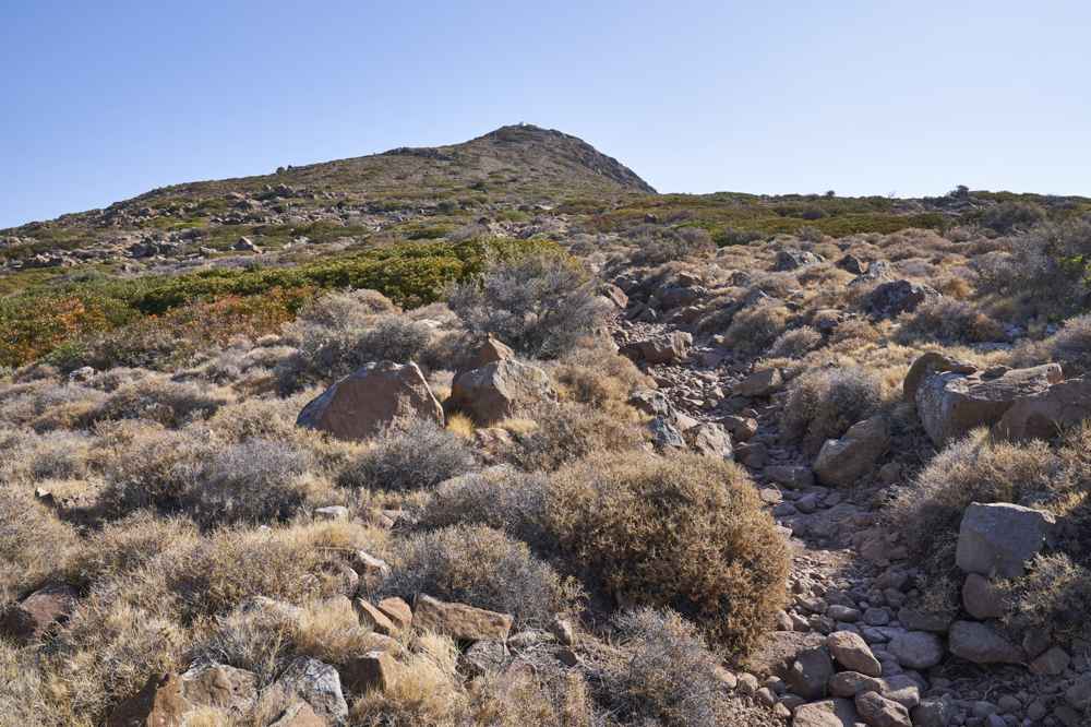A rocky trail climbing towards the summit of Mount Oros, the highest peak on Aegina