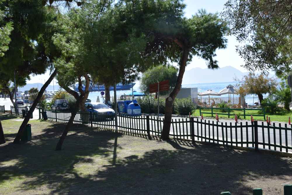 A shaded seaside spot on the Aegina waterfront, easy for families