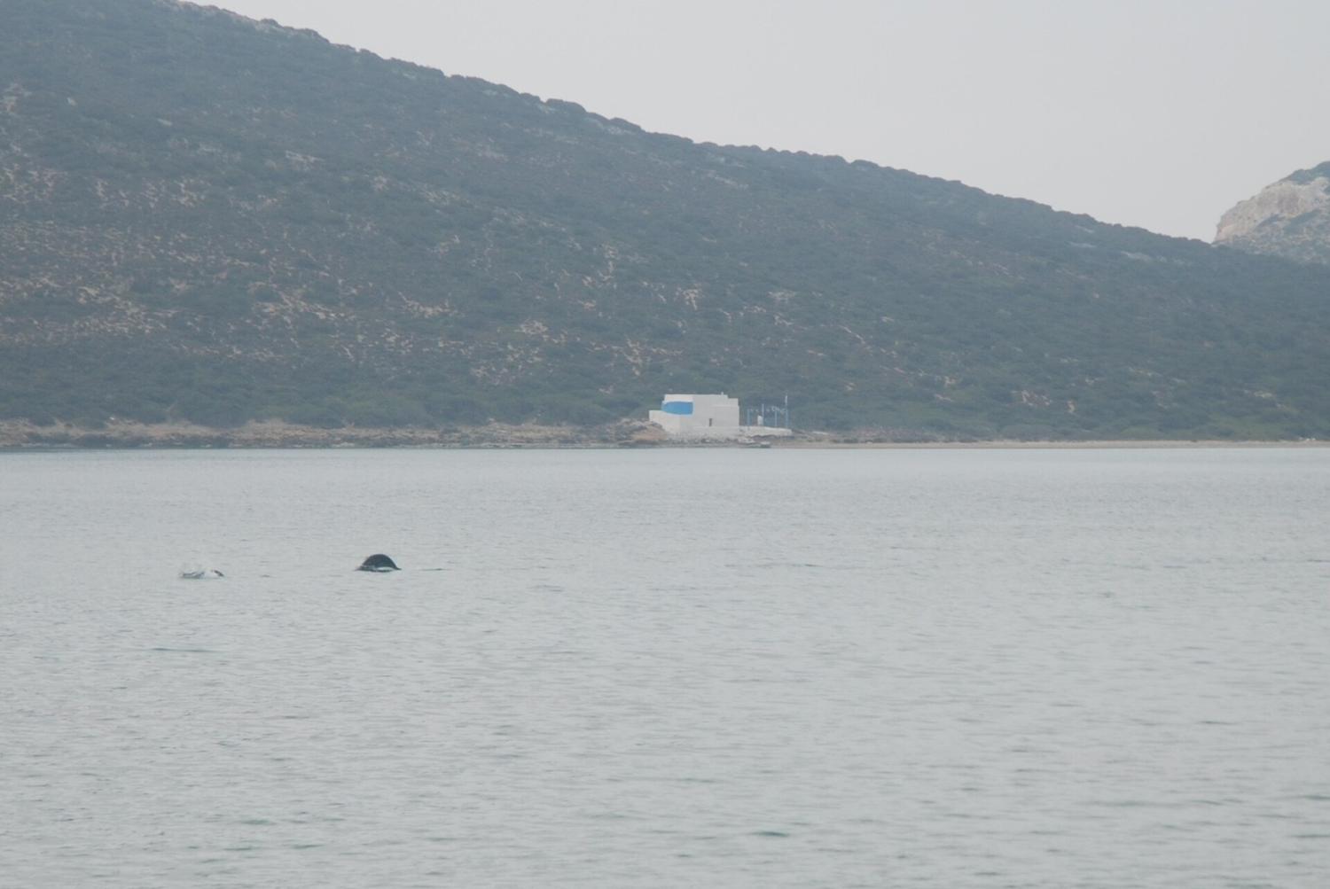 Agios Georgios, Antiparos: Beaches and the Gateway to Despotiko