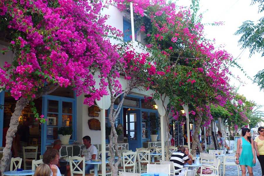 Nightlife on Antiparos: Bars, Cafes and Easy Evenings