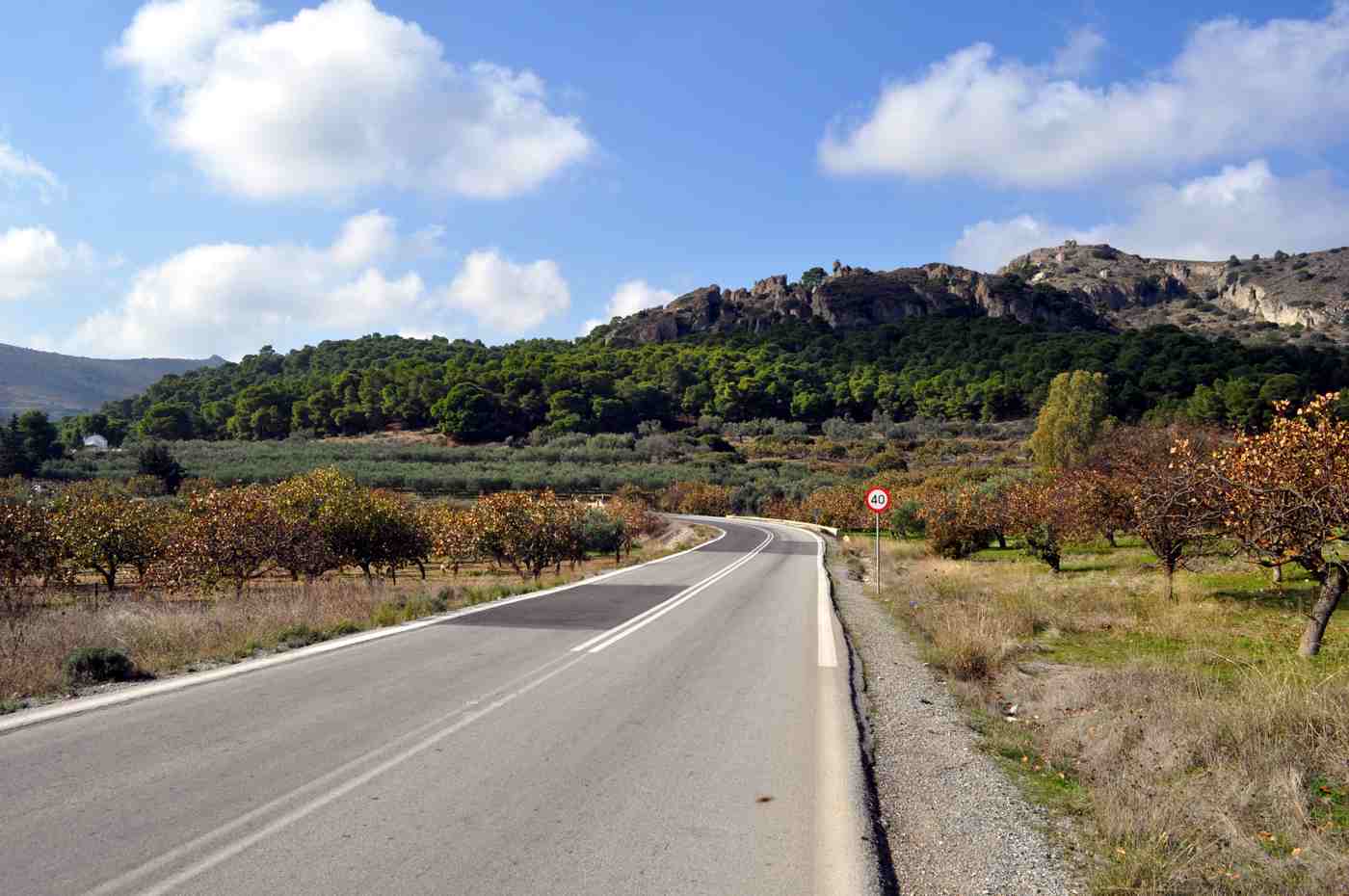 The countryside of Aegina, whose light and landscape inspired the sculptor