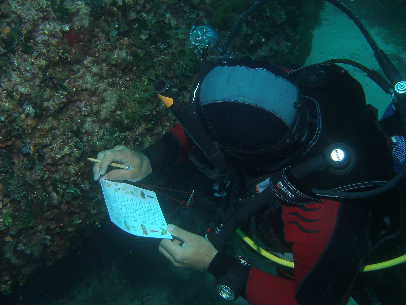 Scuba Diving in Crete: Dive Sites, Reefs and Wrecks