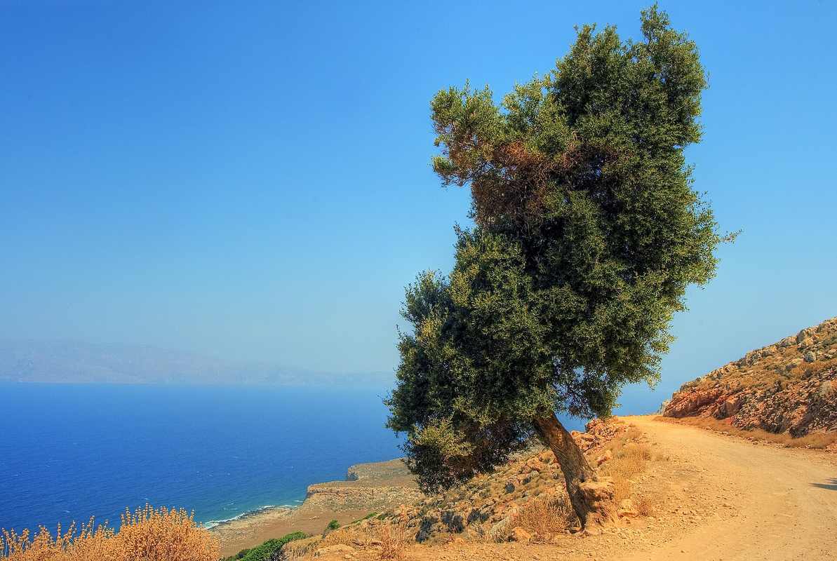 Driving in Crete: Car Rental and Road Trip Guide