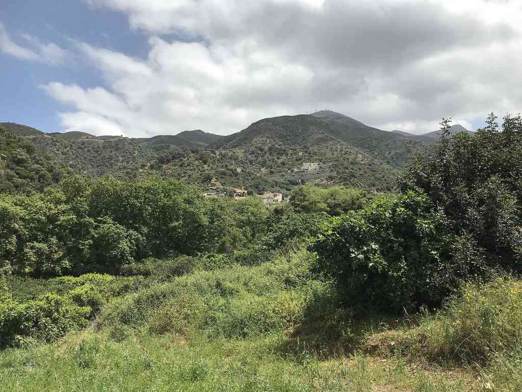 Fodele: Crete's Green Village and El Greco's Birthplace