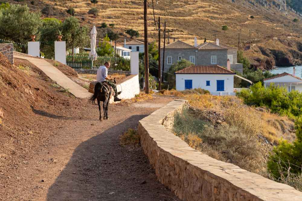 A Hydra donkey carrying goods along a village lane, the island's traditional transport