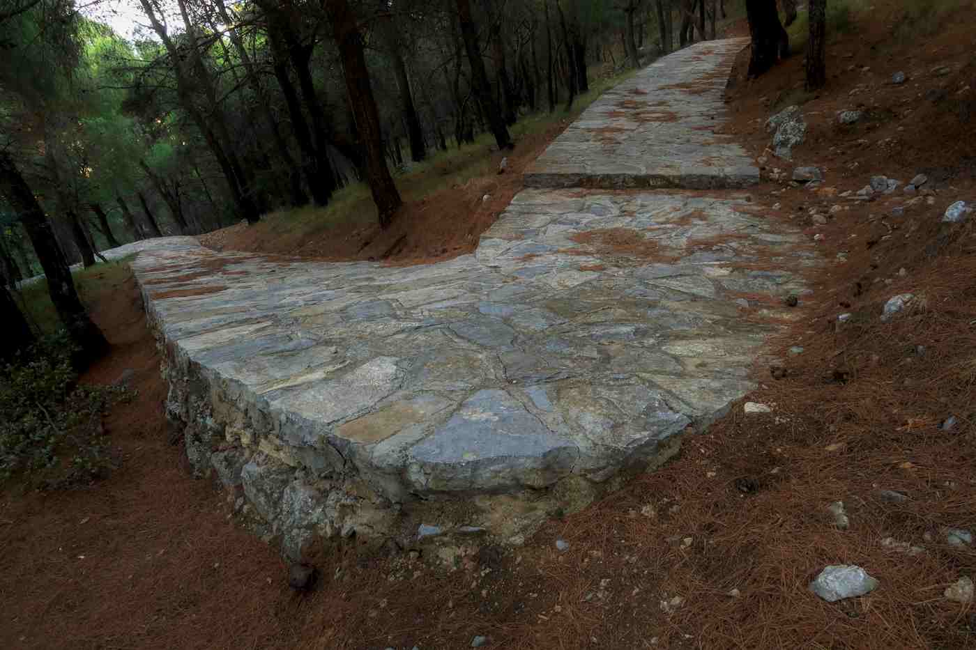 The stone path climbing to the Hydra monasteries through the pines