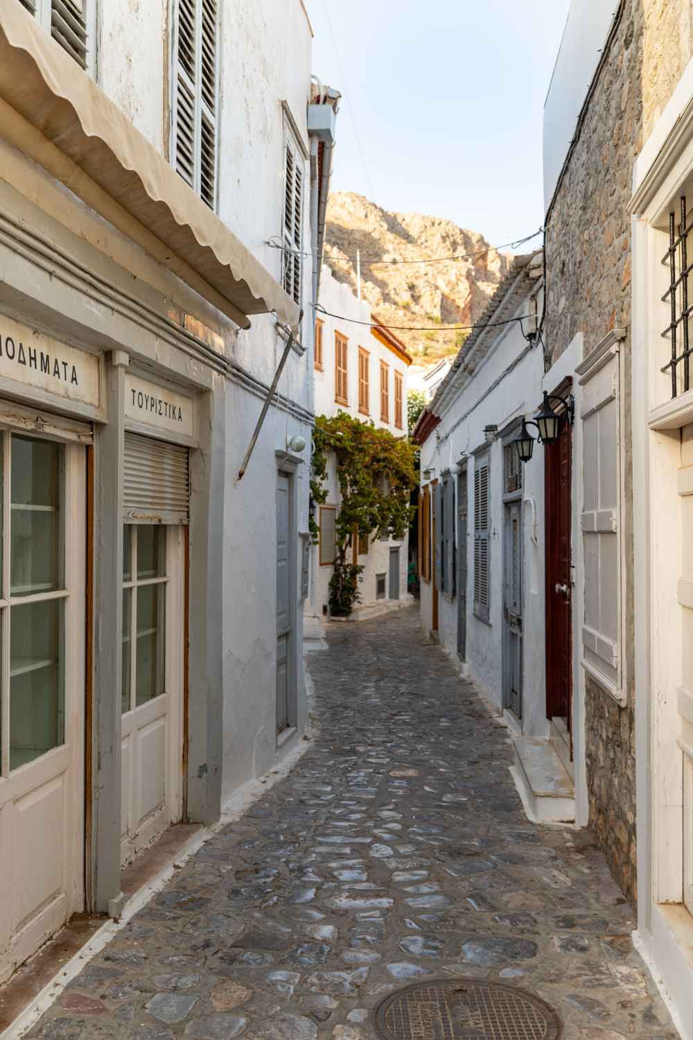 A stone-paved lane in Hydra Town lined with whitewashed houses