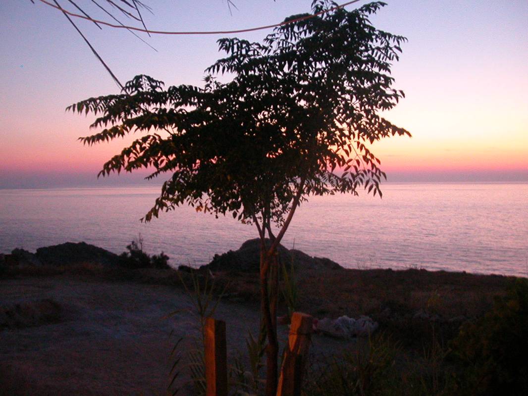 Ikaria Honeymoon: A Slow, Romantic Island Escape