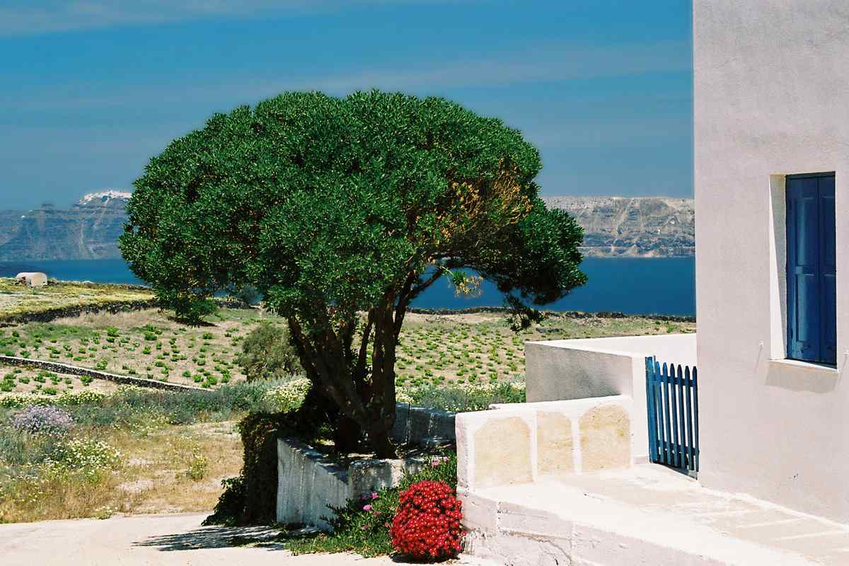 Ikaria in October: Autumn Travel Guide
