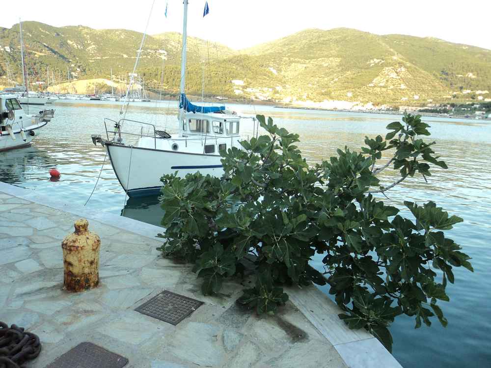 Skopelos, Greece — SKOPELOS,SPORADES,GREECE - panoramio (2)