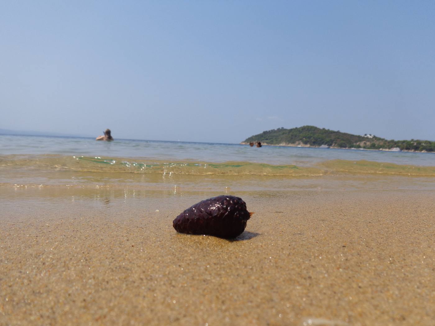 Koukounaries Beach, Skiathos