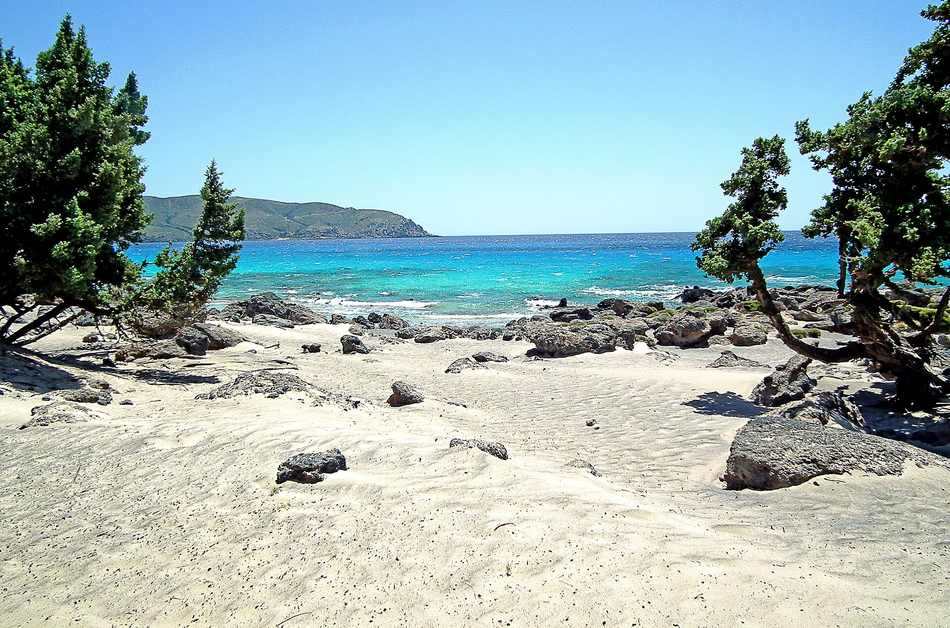 Kedrodasos: Crete's Wild Cedar-Forest Beach Beside Elafonisi