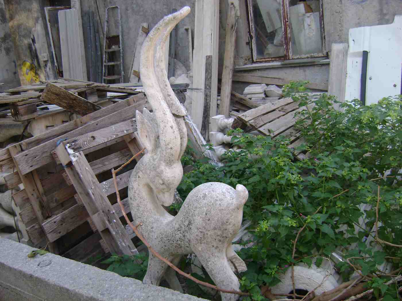 Decorative plaster ram in Argostoli