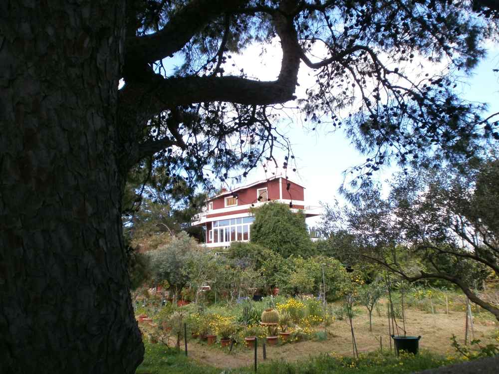 Casa Rossa Argostoli