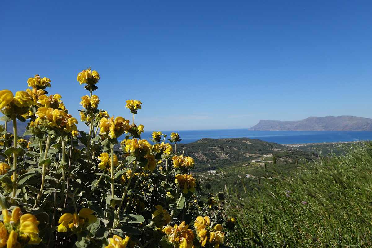 Kissamos: Crete's Western Port Town and Gateway to Balos