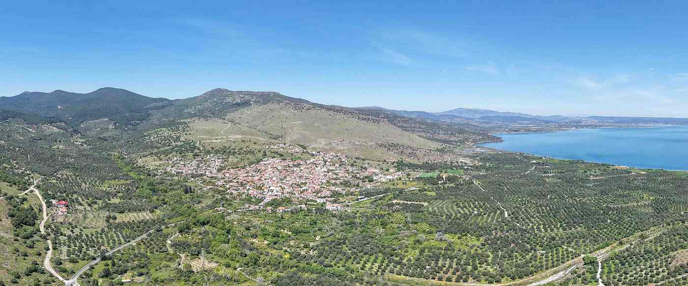 A panorama of the varied landscape of Lesbos, olive groves, hills and the sea, ideal for exploring by day trip