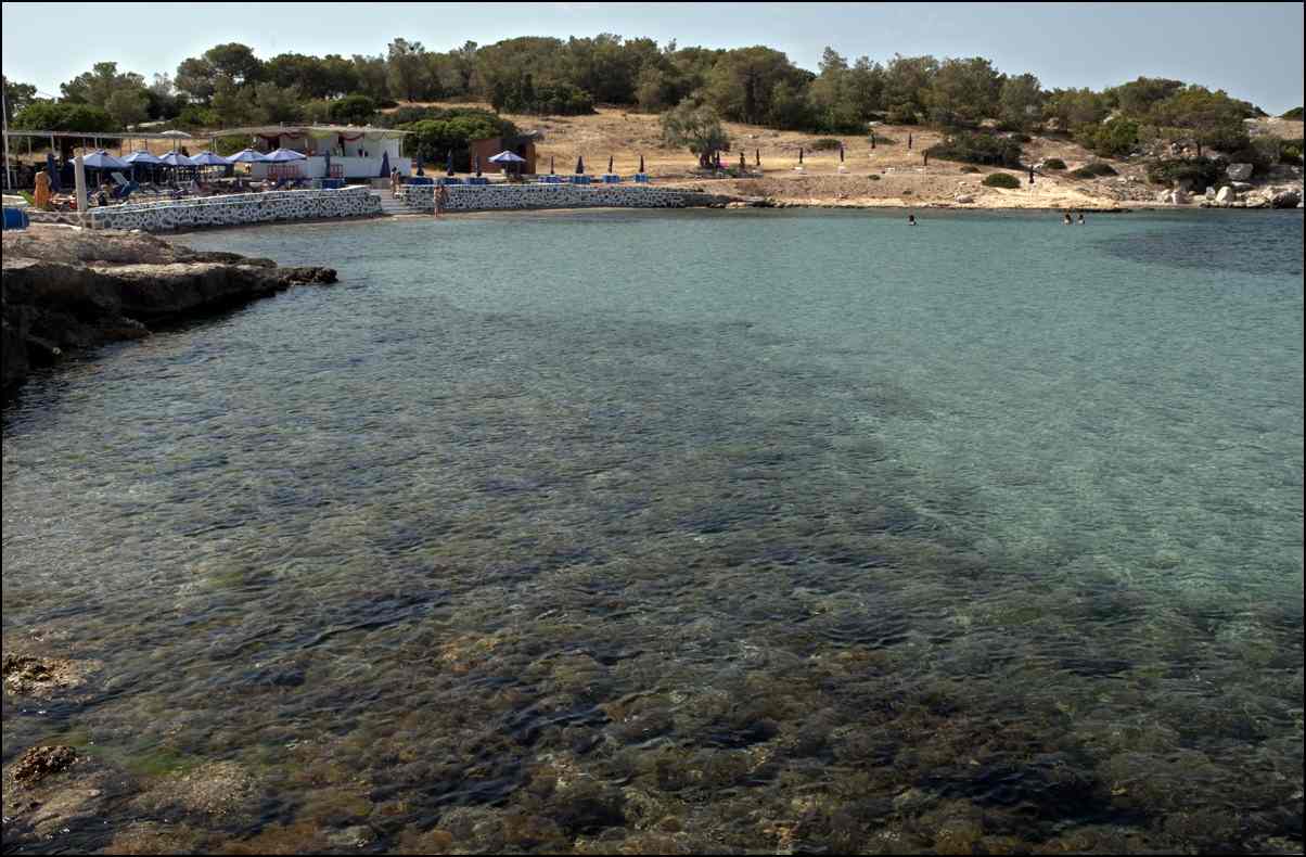 The clear-water beach and pine slopes of Moni islet off Aegina