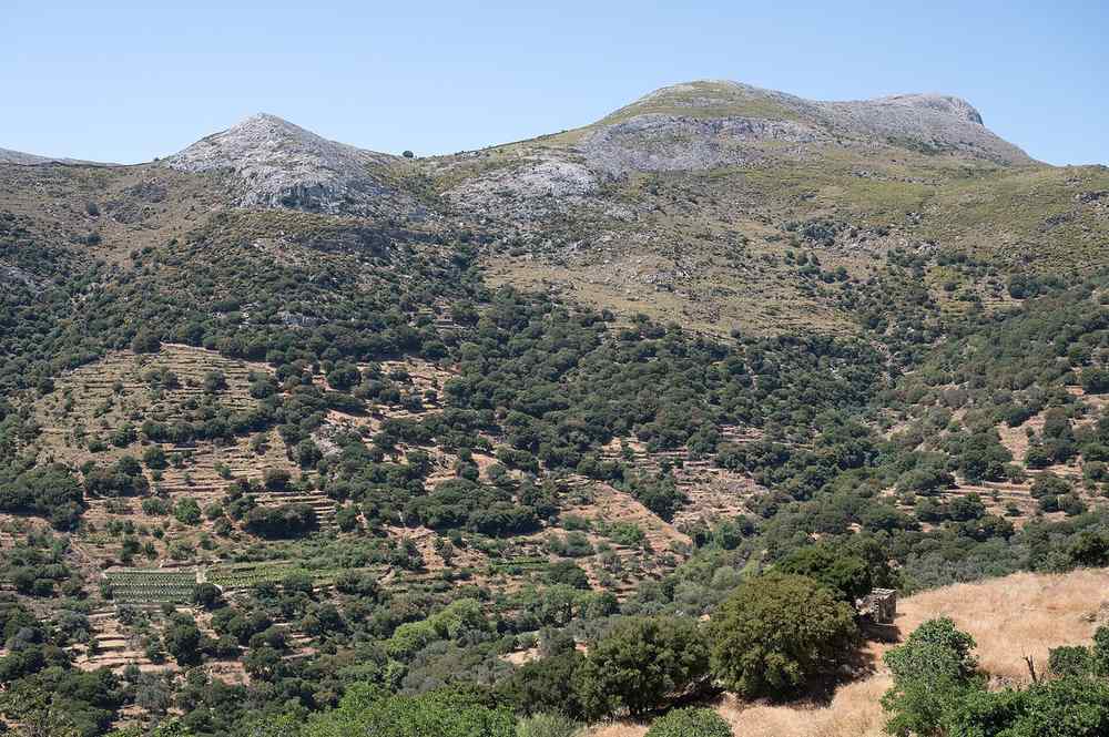 Mount Zas (Naxos)