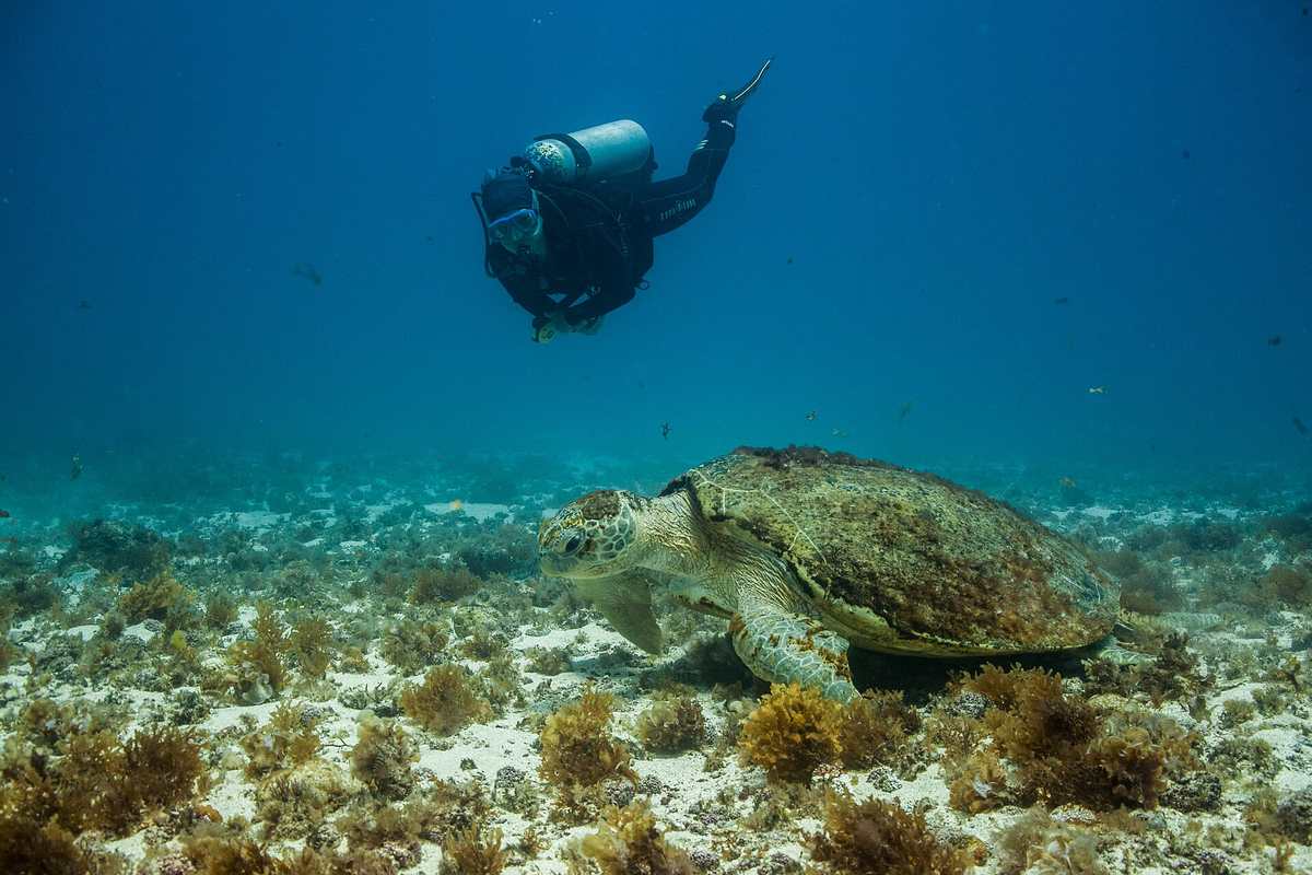 Scuba Diving & Snorkelling in Naxos
