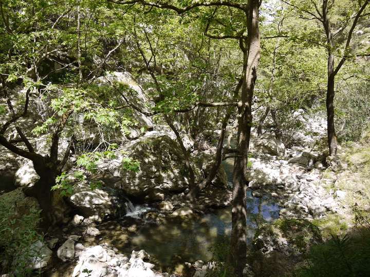Patsos Gorge: Crete's Shaded Cave-Church Ravine in Amari
