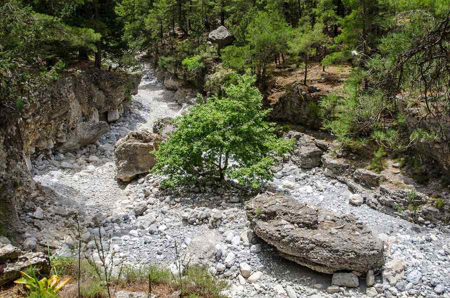 Samaria Gorge: Hiking Crete's Great Canyon
