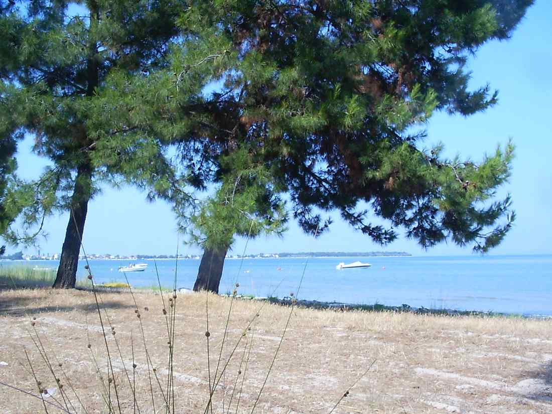 Skala Prinos in Thassos