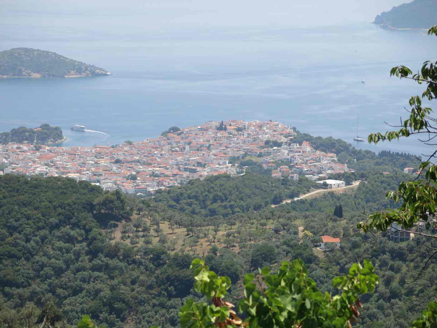 Skiathos Town houses