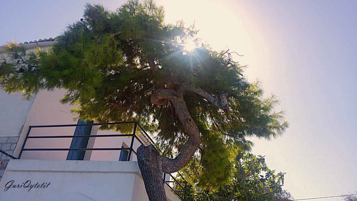 Spetses, Greece — Spetses, Greece - panoramio (1)