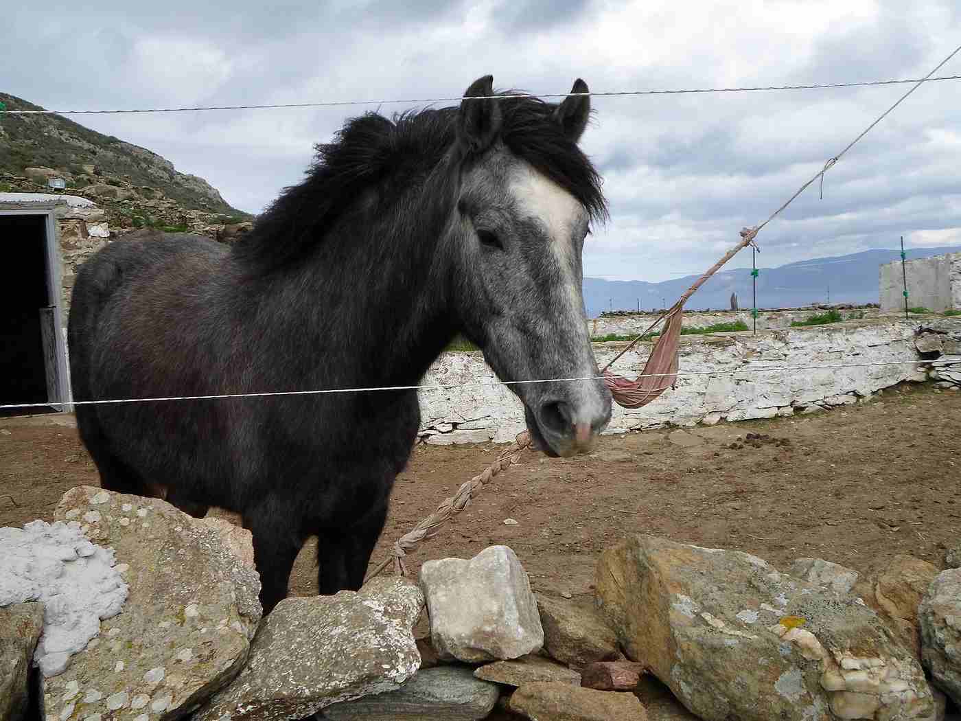 Syros Hiking Trails: Walking the Old Stone Paths of Apano Meria