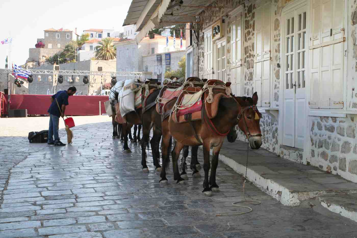 Donkeys carrying goods on car-free Hydra, a classic sight among the things to do in Hydra