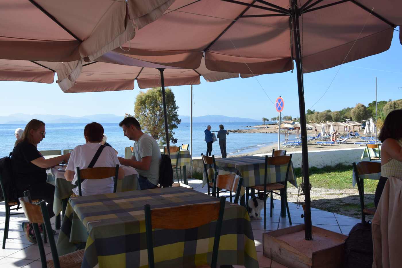 A seaside taverna overlooking the beach and clear water on Aegina