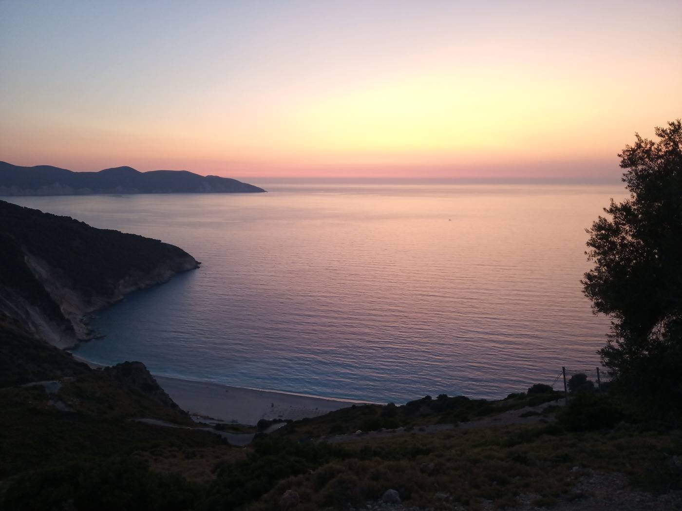 Myrtos divarata