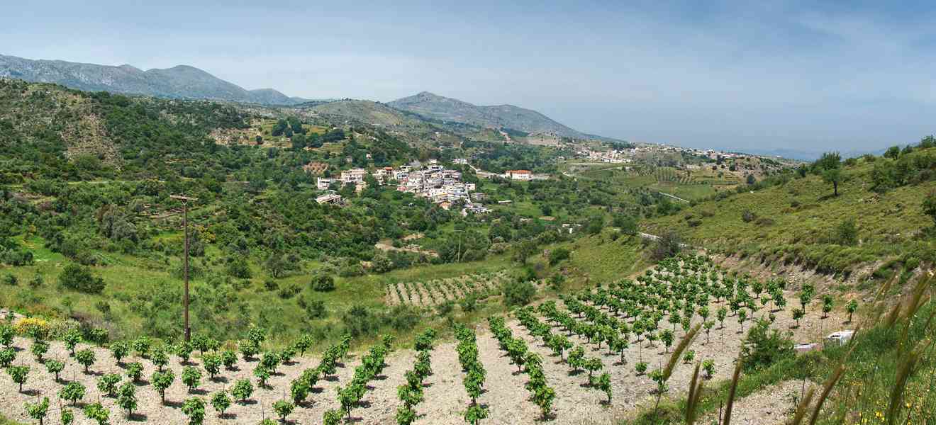 Zoniana: Crete's Village of the Sfendoni Cave