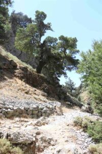 The Agia Irini Gorge that finishes above Sougia, Crete