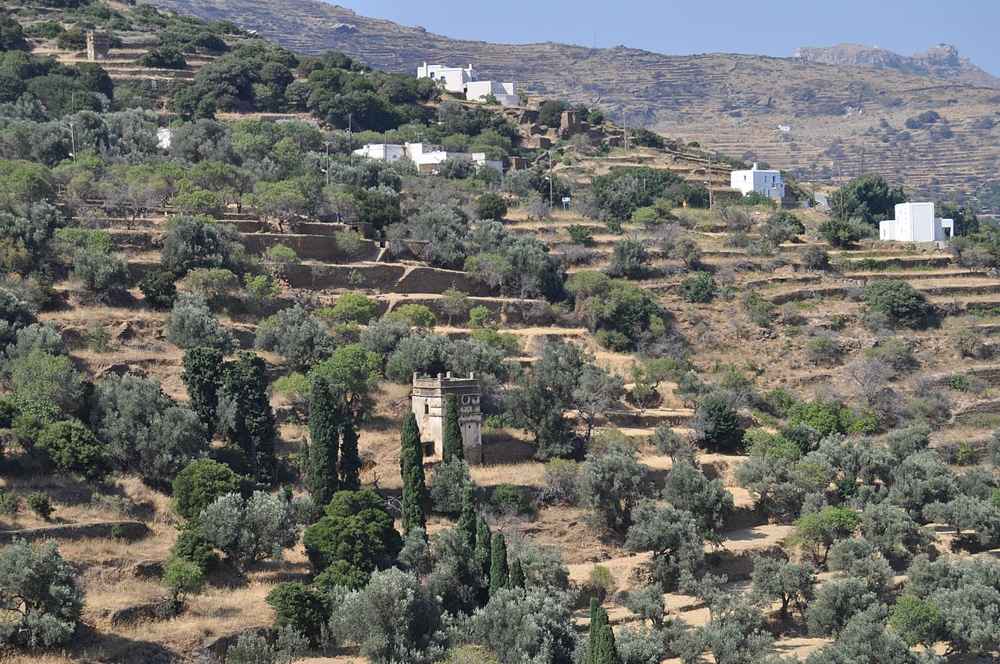 The terraced, olive-clad countryside of the Andros interior that a hire car opens up