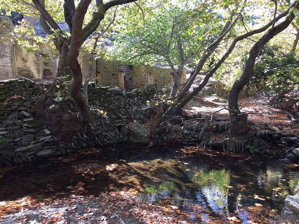An old stone watermill and stream shaded by plane trees in a green gorge on Andros