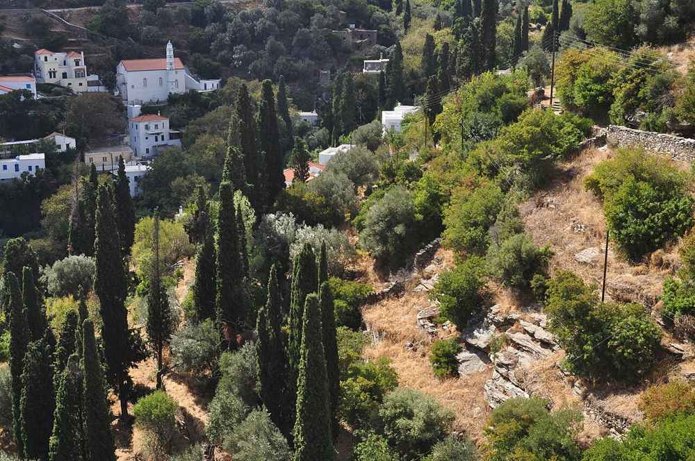The green, terraced interior of Andros with cypresses, olive groves and a village church