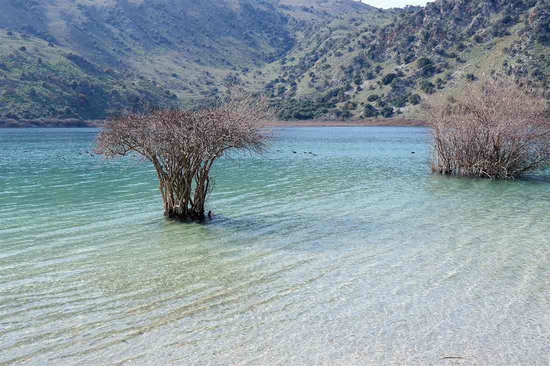 The turquoise water of Lake Kournas, the only natural freshwater lake in Crete, ringed by mountains near Georgioupoli