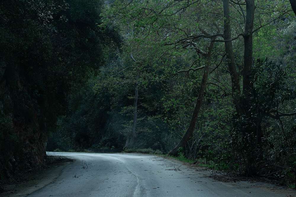 The road through the Therisso gorge near Chania, threading under plane trees between sheer rock walls